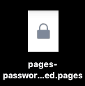 Страници 6.0.5 Защитена с парола икона