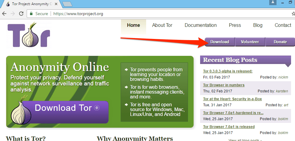 скачать tor browser бесплатно с официального сайта hydraruzxpnew4af