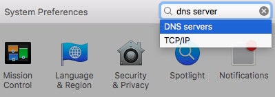 Mac DNS 1